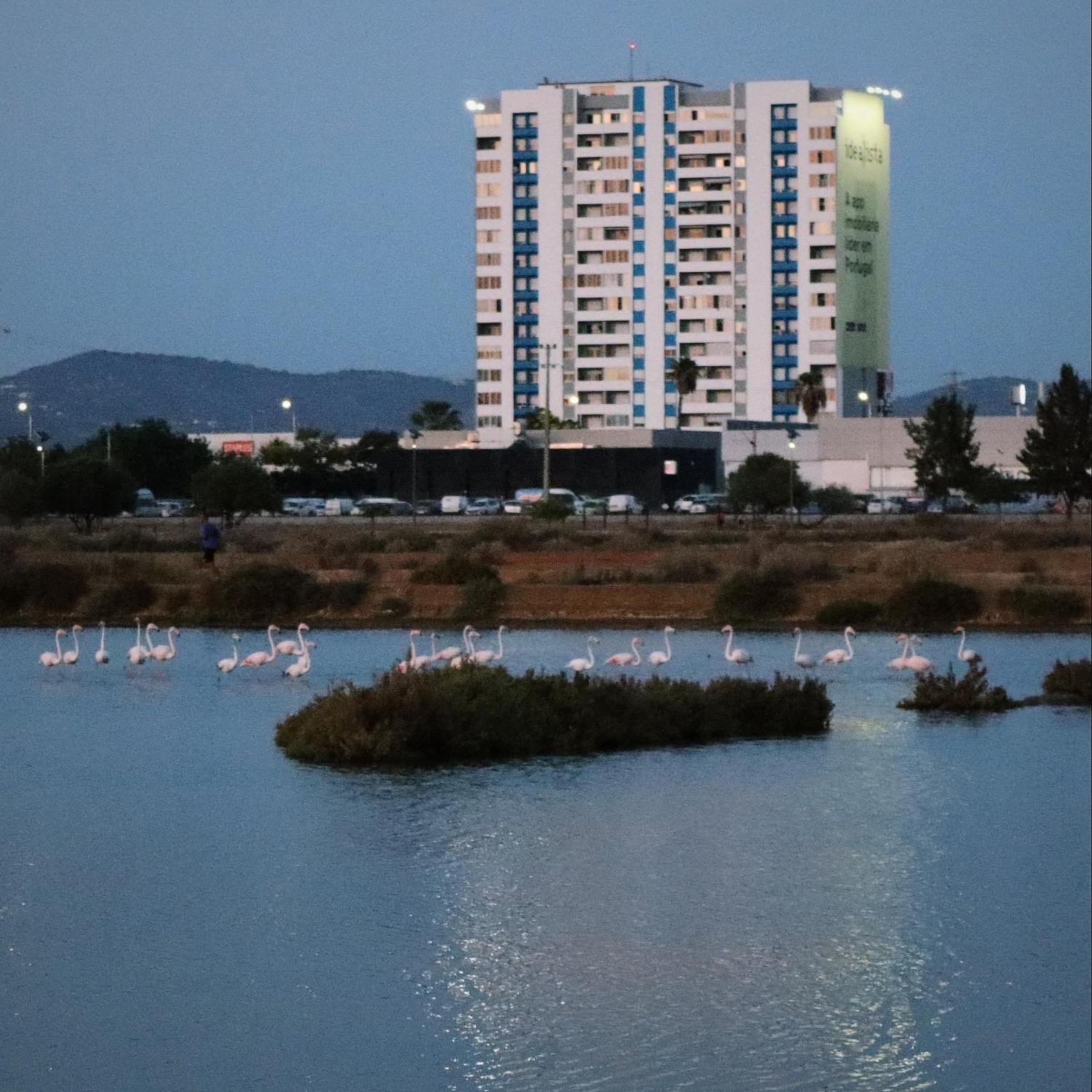 פארו Sea View Apartment מראה חיצוני תמונה